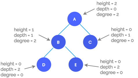 Height, Depth and Degree of a Tree