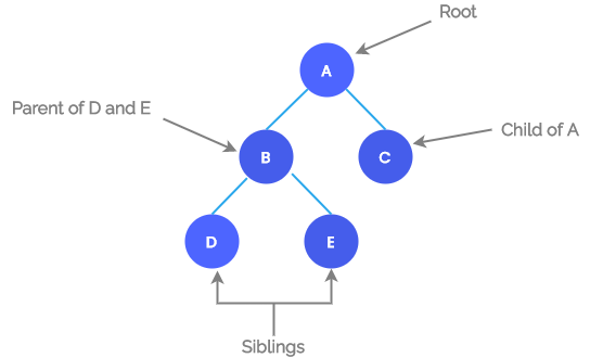 Root, Parent, Child, Siblings in a Tree